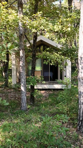 Longosphere Glamping