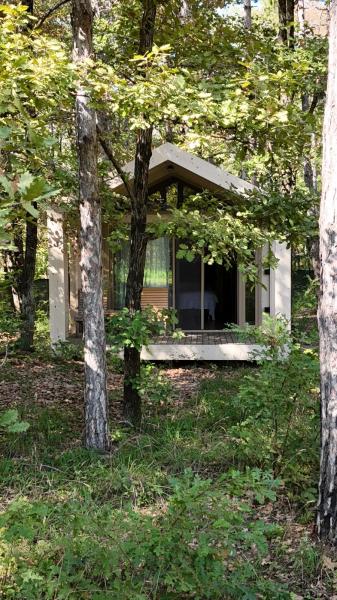 Longosphere Glamping