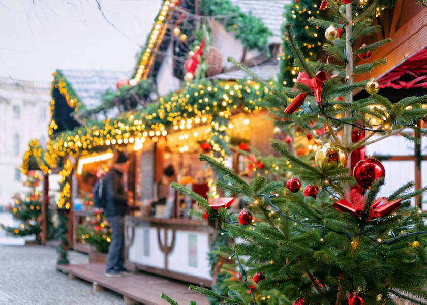 İzmir Çıkışlı Alsace  Strasbourg ve İsviçre Noel Pazarları Turu