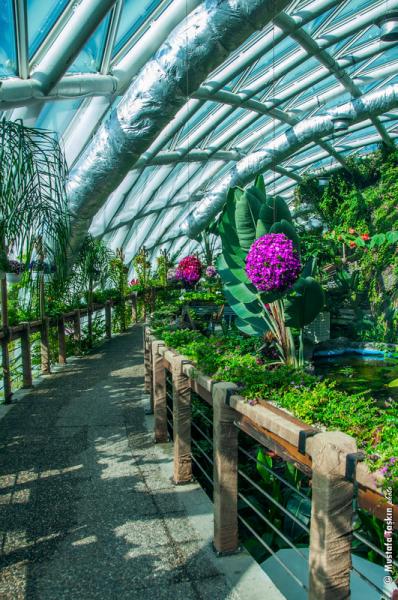 1 GECE KONAKLAMALI KONYA TURU