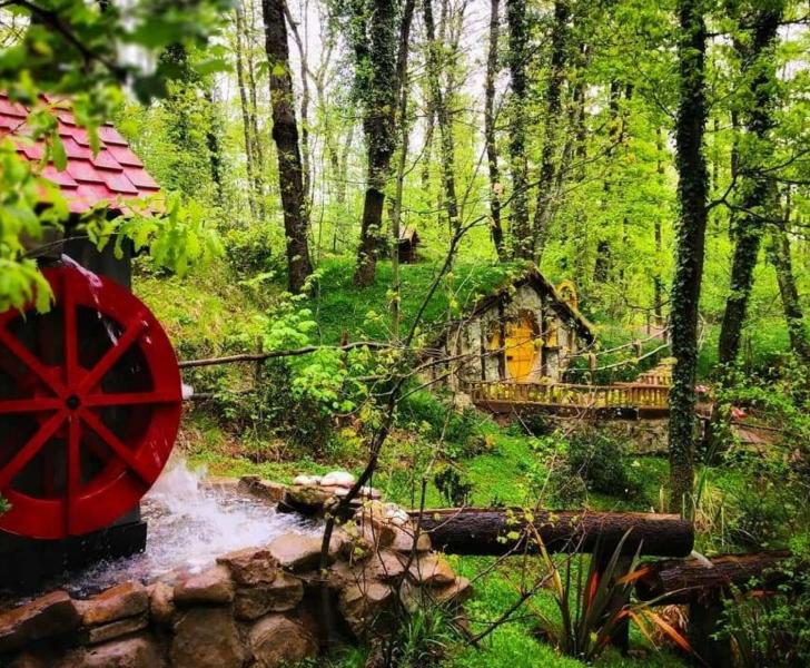 Baştan Başa Karadeniz Turu (2026 Erken Rezervasyon)