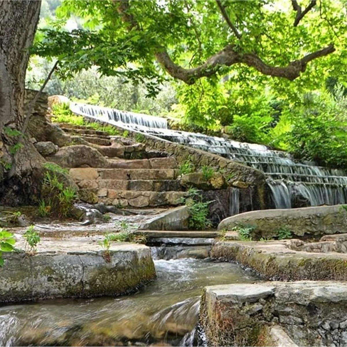 Fethiye Saklıkent ve Ölüdeniz Turu
