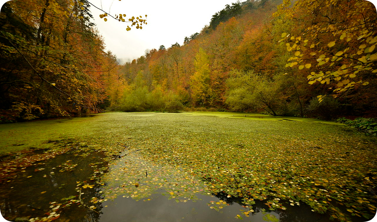 B&uuml;y&uuml;k G&ouml;l