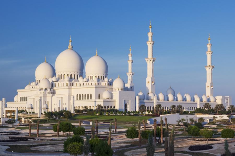 ÇÖL ÇİÇEĞİ DUBAİ&ABU DHABİ TURU 