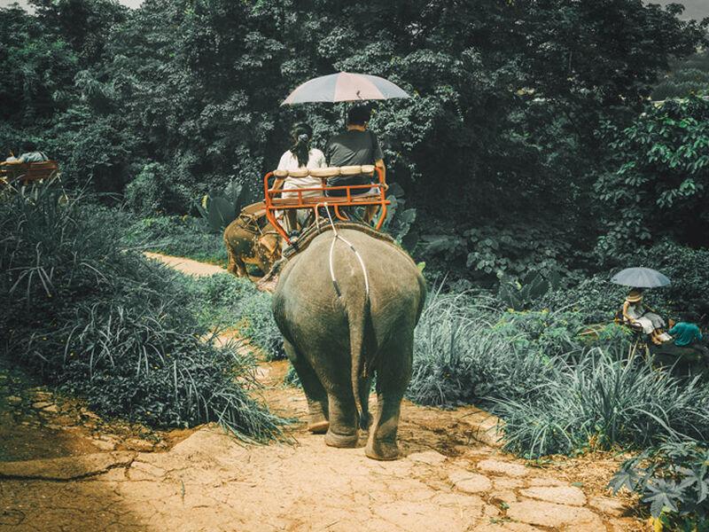 PHUKET 2026 SQ