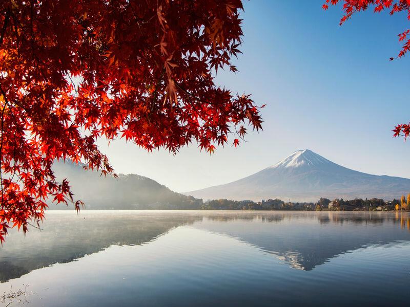 Comfort Japonya & Kore Turu Türk Hava Yolları ile 8 Gece Ekstra Turlar ve Çay Seremonisi Dahil 