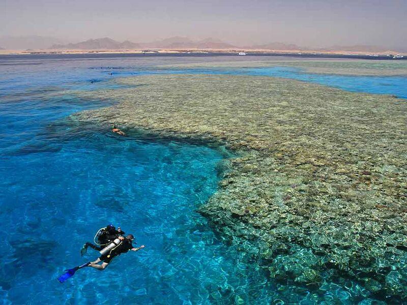 Sharm Kahire ve İskenderiye Masalı 