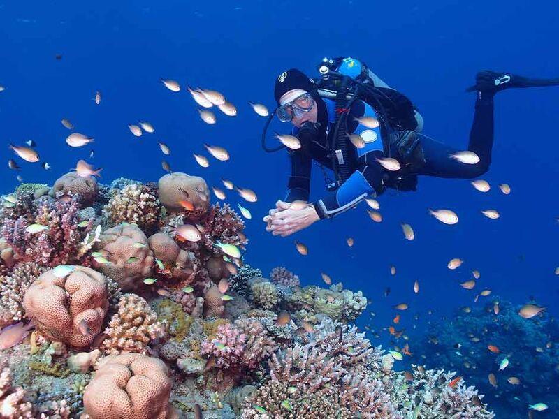 Sharm Kahire ve İskenderiye Masalı 