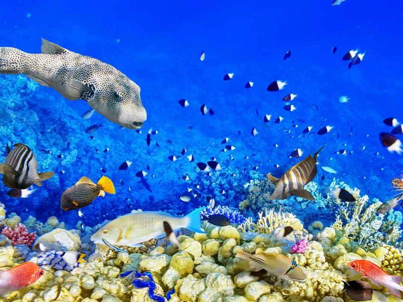 Kahire İskenderiye ve Sharm Masalı