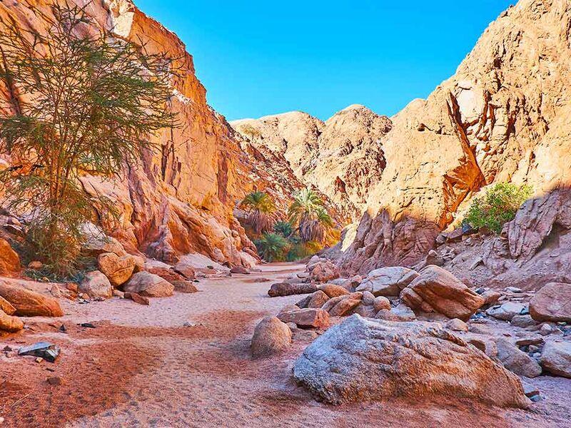 Kahire İskenderiye ve Sharm Masalı