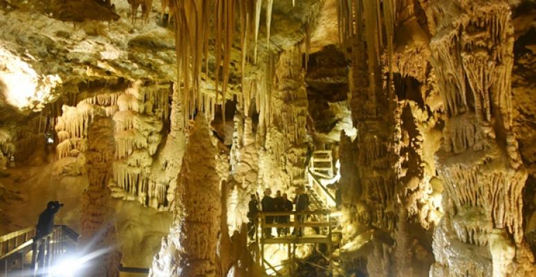 Karadeniz Yaylalar ve Batum Turu (Batum Konaklamalı) / 6 Gece Otel Konaklamalı / İstanbul Çıkışlı