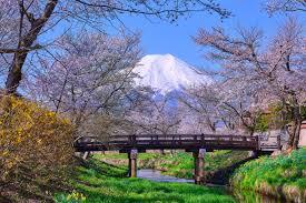 JAPONYA 2026
