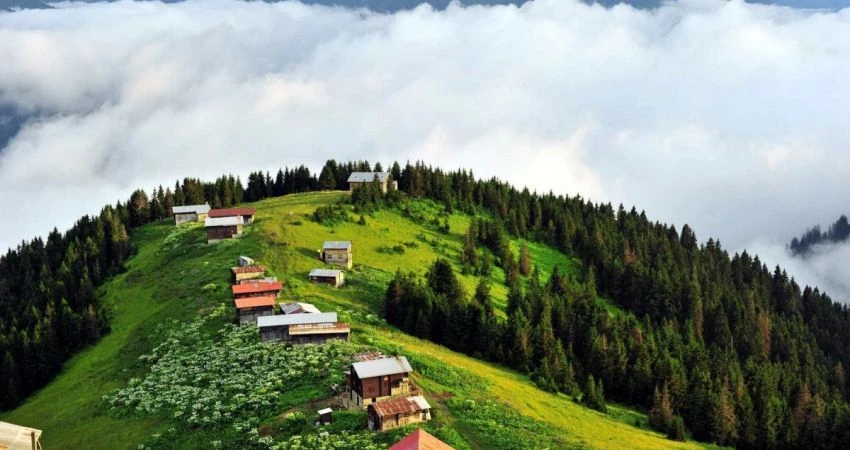 5 Gece İzmir Çıkışlı Rüya Gibi Doğu Karadeniz - Batum Turu