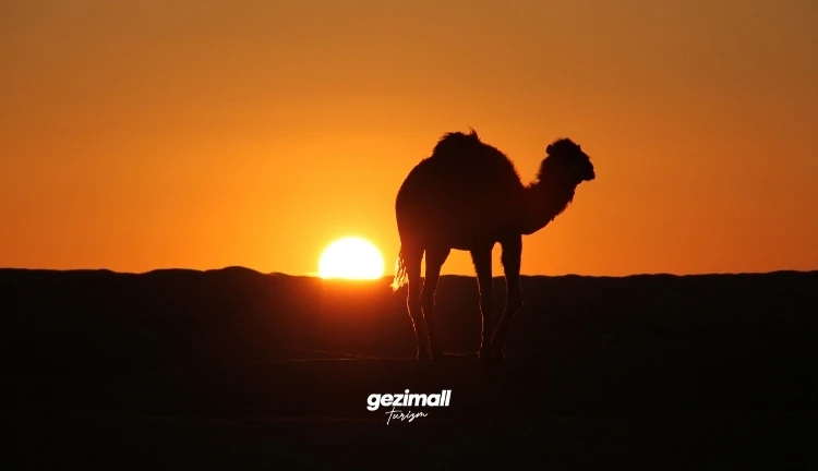 Konya Havalimanı Kalkışlı Freebird Hava Yolları İle 4 Gece 5 Gün Çölün Ortasındaki Vaha: Prestij Dubai Turu Dubai Şehir Turu Dahil (Kış Dönemi) (719)
