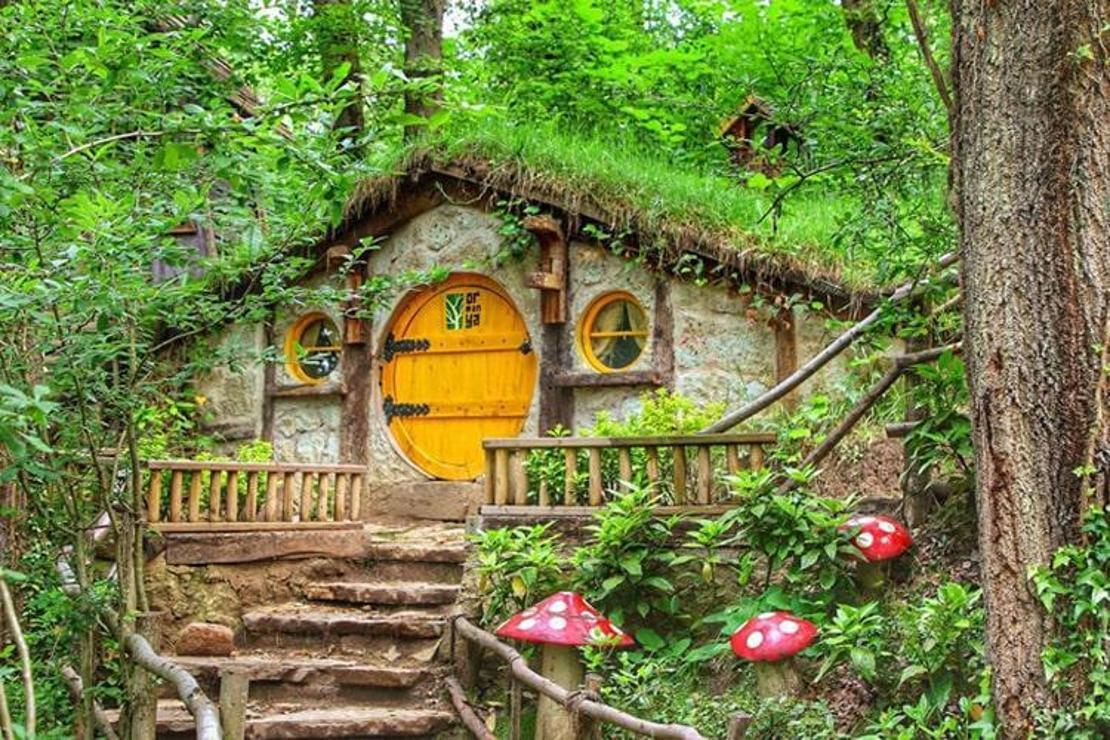 Sapanca Maşukiye Ormanya Turu