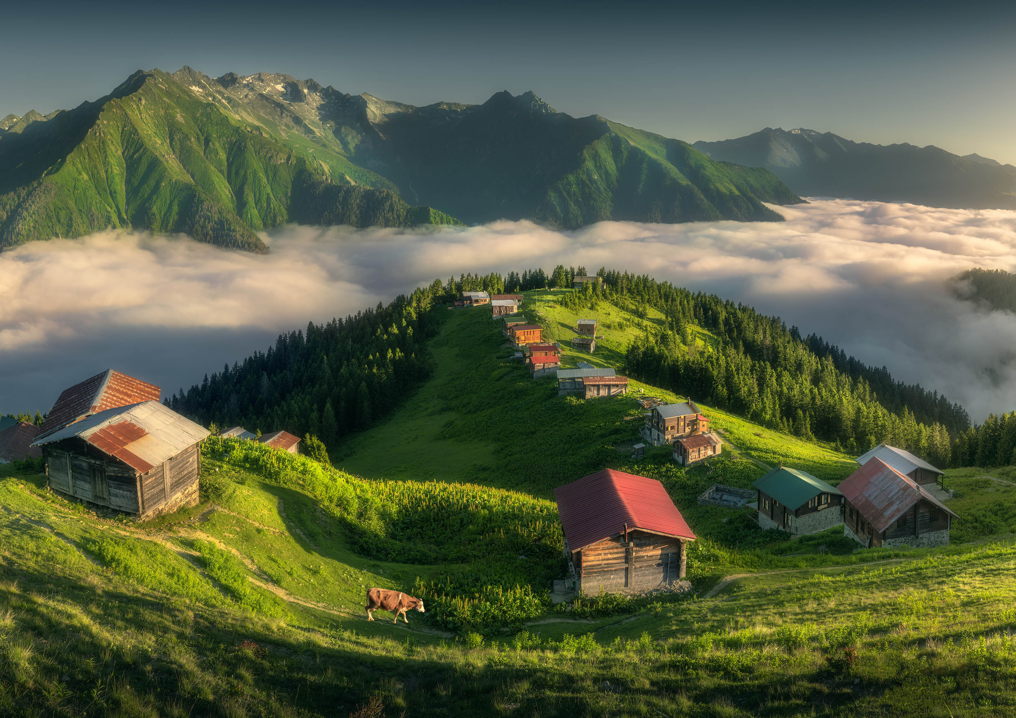 Karadeniz Turları