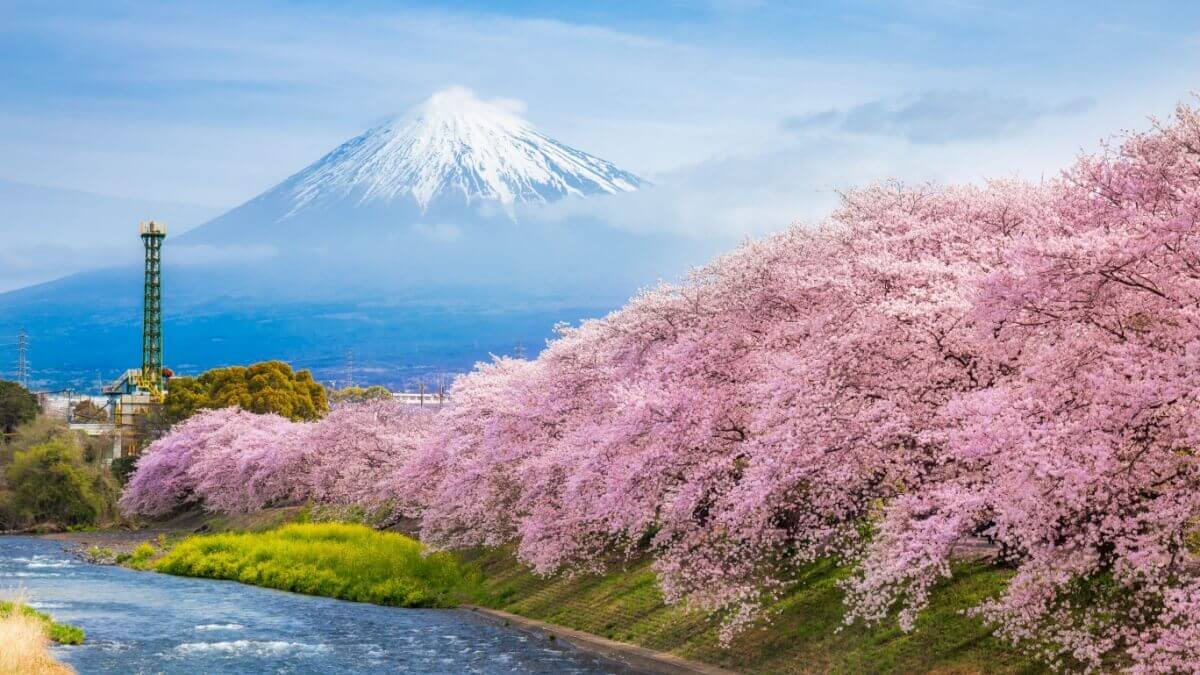 Japonya Vize İstiyor mu? Japonya Vizeli mi?