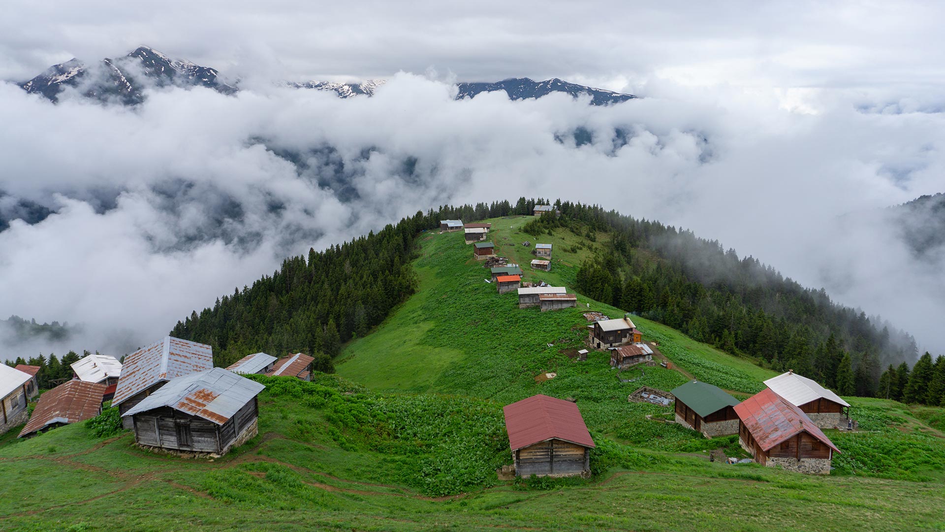 Doğu Karadeniz Batum Turları