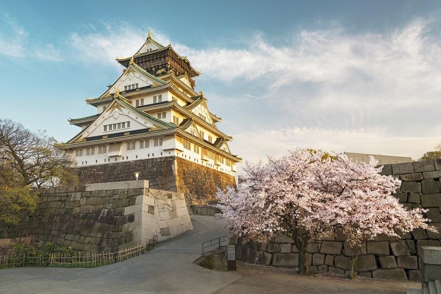 İstanbul Çıkışlı  Grand Japonya Turu | 7 Gece 8 Gün