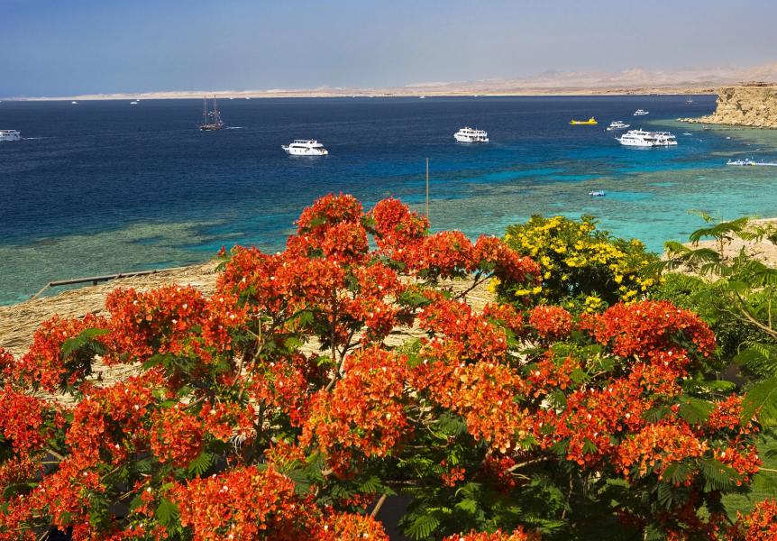 SHARM EL SHEIKH & KAHİRE TURU