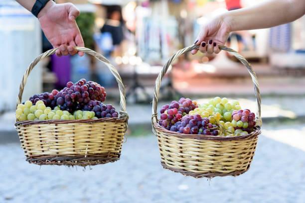 BOZCAADA - GÖKÇEADA BAĞBOZUMU FESTİVALİ