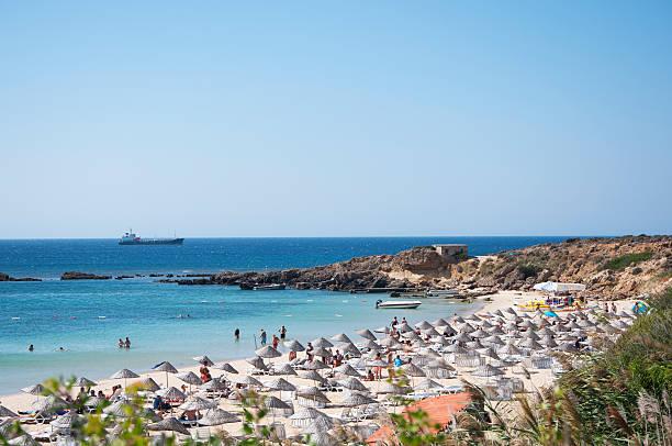 BOZCAADA - GÖKÇEADA BAĞBOZUMU FESTİVALİ