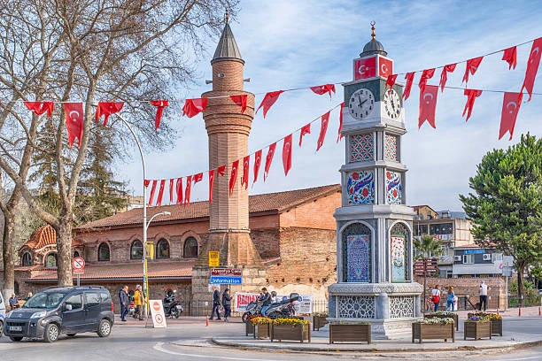 GEMLİK ZEYTİN HASADI TURU