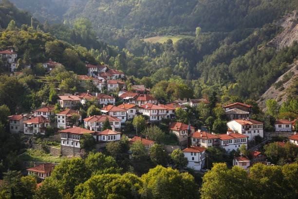 MUDURNU  - GÖYNÜK - TARAKLI