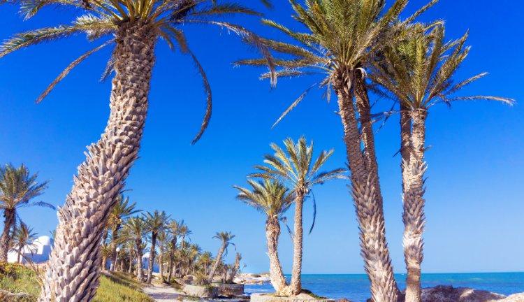 TUNUS I  Djerba
