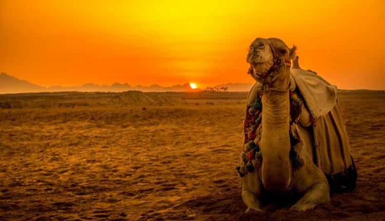 MISIR I Kahire - Aswan - Luxor - Hurghada