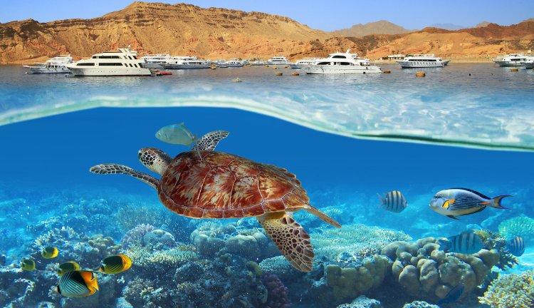 MISIR I Kahire - Aswan - Luxor - Hurghada