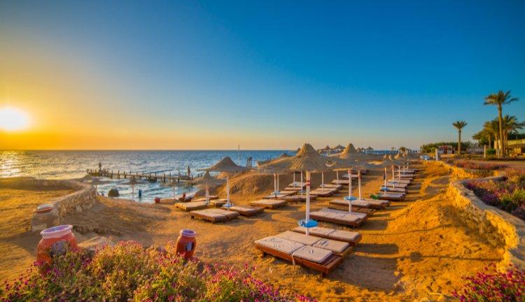 MISIR I Kahire, Sharm El Sheikh  Kopyası