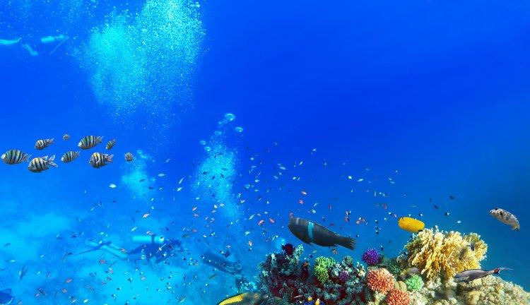 MISIR I Kahire, Hurghada Kopyası