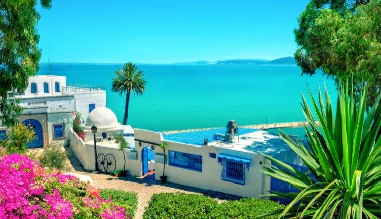 Ekim I  TUNUS VIP Luxury Premium I Kartaca'dan Sahra'ya Eşsiz Bir Keşif 