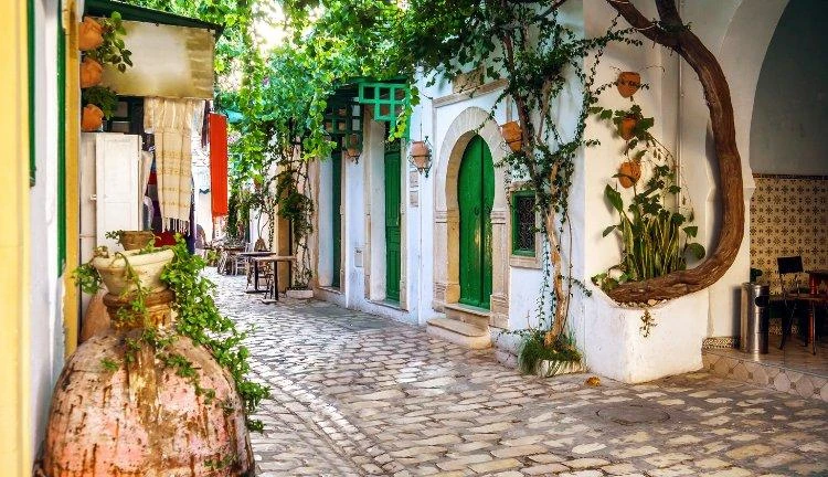 Ekim I  TUNUS VIP Luxury Premium I Kartaca'dan Sahra'ya Eşsiz Bir Keşif 