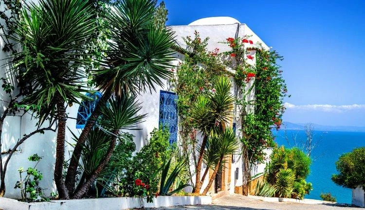 Kasım I TUNUS VIP Luxury Premium I Kartaca'dan Sahra'ya Eşsiz Bir Keşif  