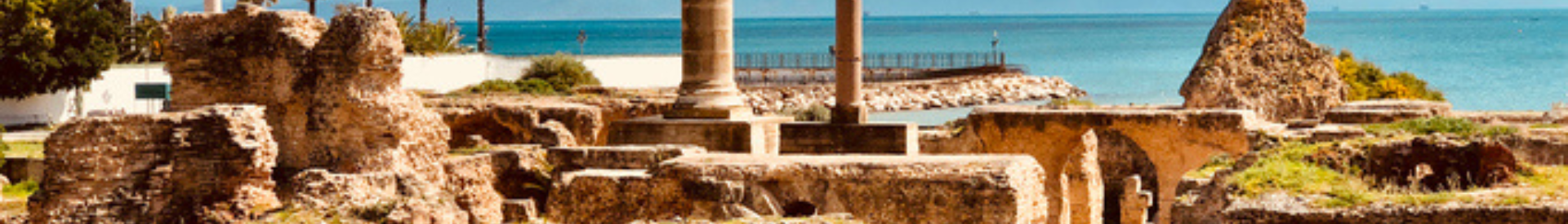 Kartaca Antik Kenti (Carthage)
