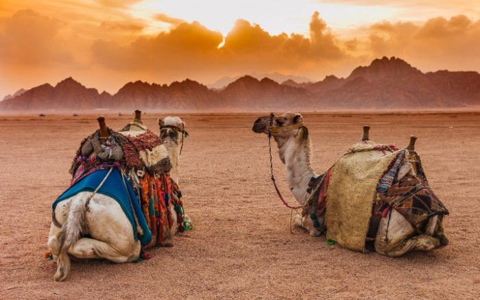 Mısır’da Yapılabilecek Aktiviteler