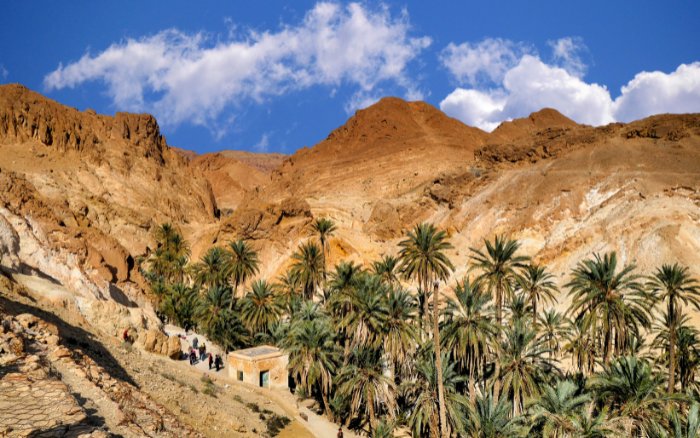 Nefta: Sahra’nın Sessiz Vaha Şehri