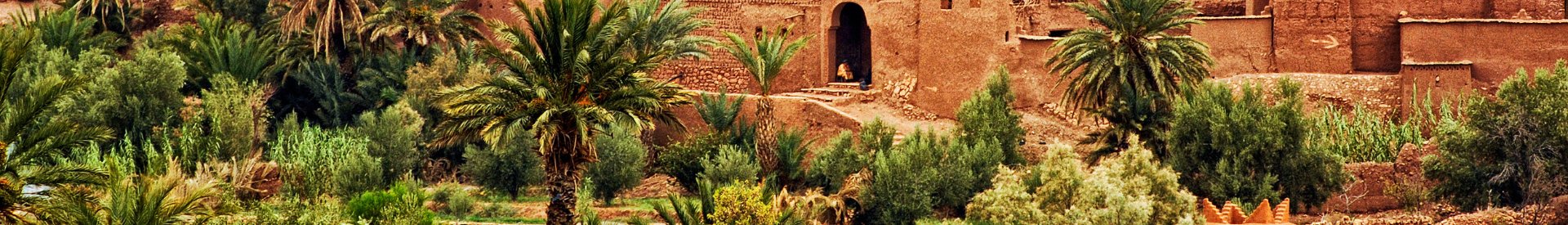 Ouarzazate Gezi Rehberi | Fas’ın Sahra Kapısı