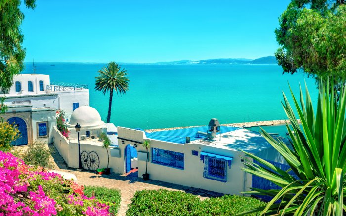 Sidi Bou Said: Akdeniz&rsquo;in Beyaz ve Mavi Kasabası