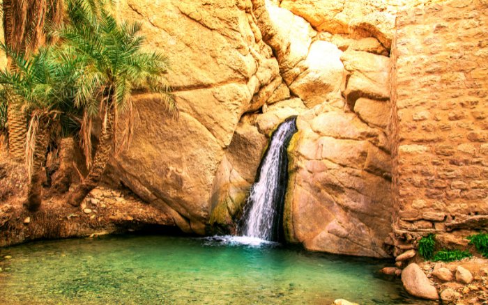 Tozeur: Sahra’nın Kapısı ve Tunus’un En Büyük Vahası