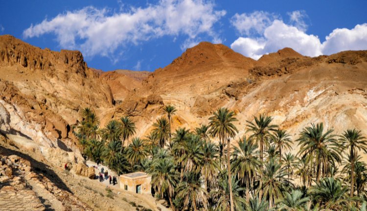 Tunus Tozeur vahası ve &ccedil;&ouml;l manzarası