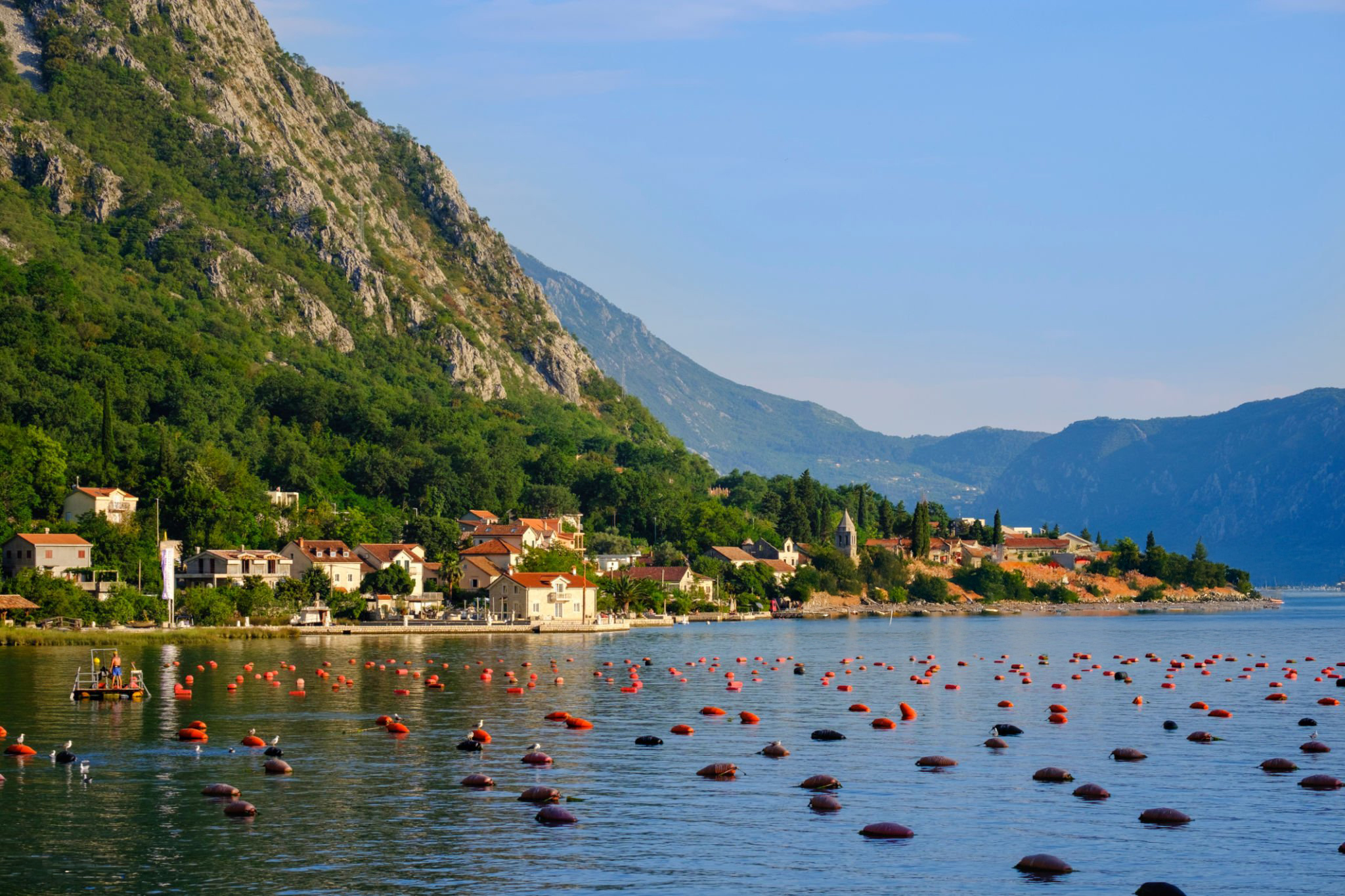 Ljuta Bay