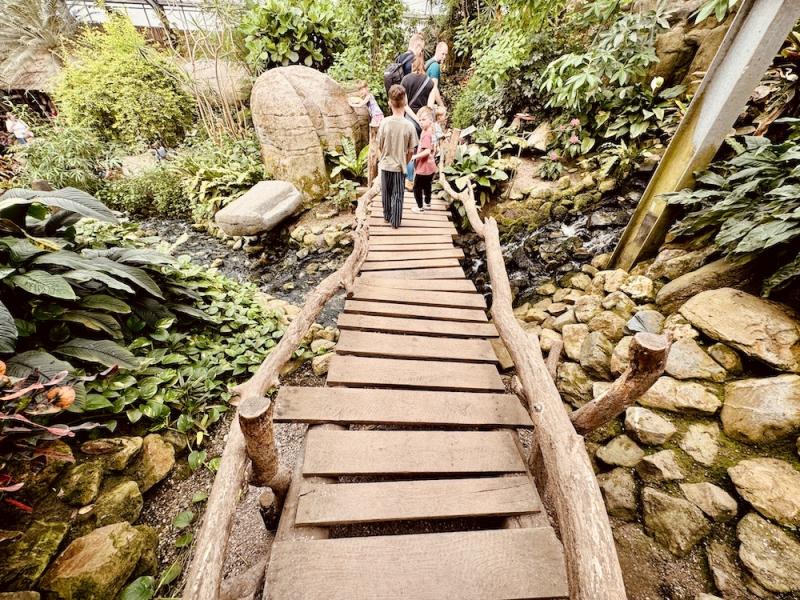 Giethoorn ve Pantropica Turu