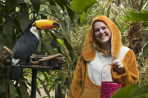Giethoorn ve Pantropica Turu