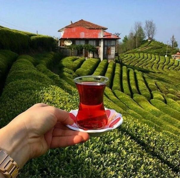 Almanya Çıkışlı Doğu Karadeniz ve Batum Turu