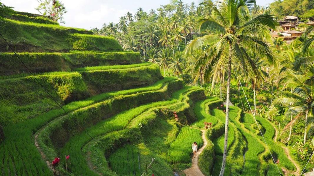 Rüya Ada Bali - Ubud Turu Türk Havayolları ile 7 Gece Konaklamalı Kurban Bayramı