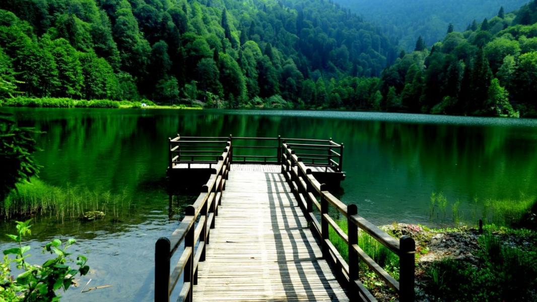 Günübirlik Borçka Karagöl ve Mençuna Şelalesi Turu