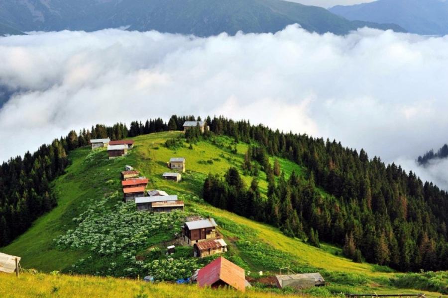 Günübirlik Ayder ve Çeçeva Turu